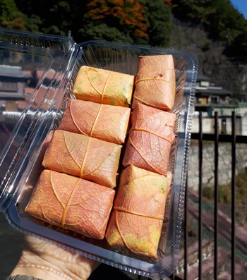 大滝茶屋の紅葉バージョン