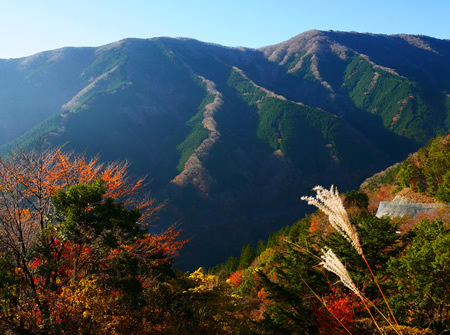 上北山村のナメゴ谷